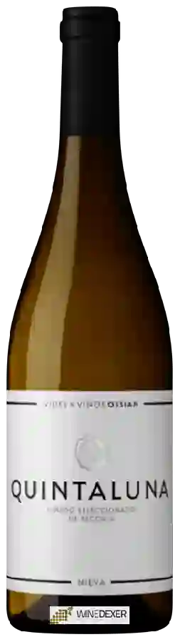 Weingut Ossian - Quintaluna Weingut Ossian - Quintaluna