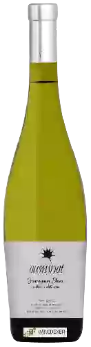Weingut Oumsiyat - Sauvignon Blanc