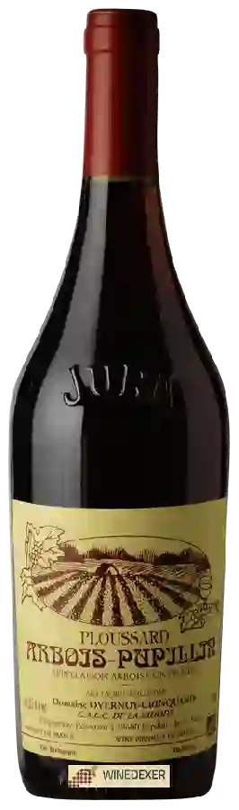 Domaine Overnoy Crinquand - Ploussard Arbois-Pupillin
