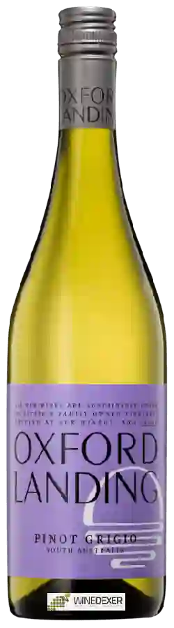Weingut Oxford Landing - Pinot Grigio