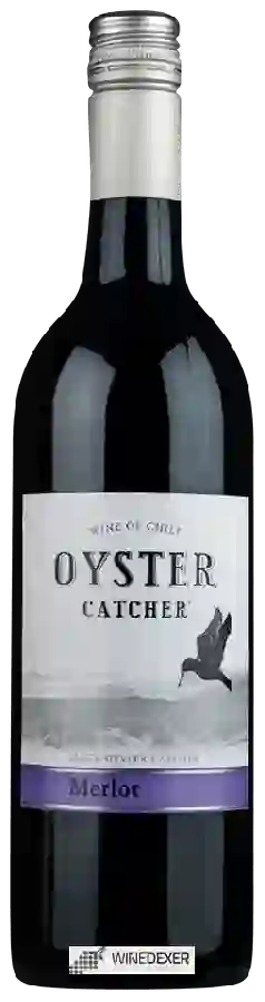 Weingut Oyster Catcher - Merlot
