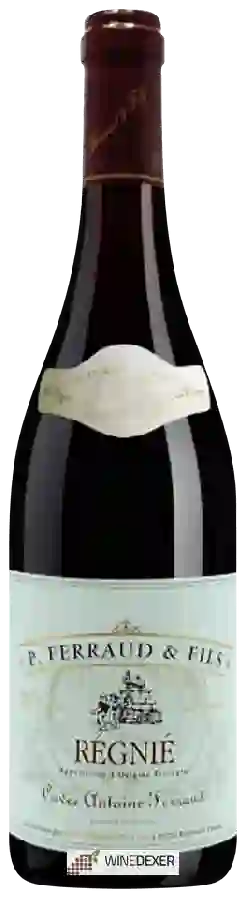 Weingut Pierre Ferraud & Fils - Cuvée Antoine Ferraud Régnié