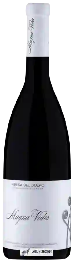 Weingut Pablo Arranz y Andrea Sanz - Magna Vides