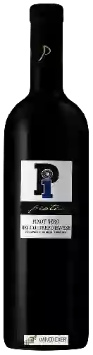 Weingut Padroggi La Piotta - Piota Pinot Nero dell'Oltrepo Pavese