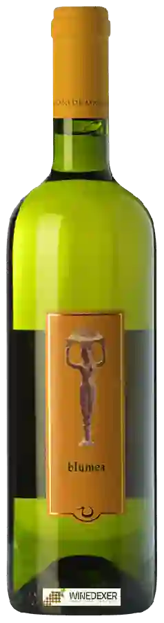 Weingut Pagani de Marchi - Blumea Weingut Pagani de Marchi - Blumea
