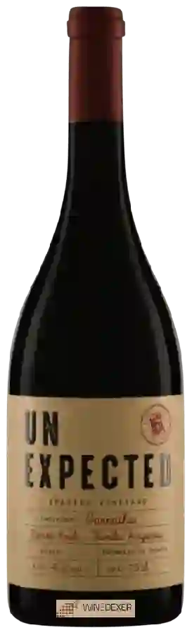 Weingut Pago Aylés - Unexpected Garnacha Weingut Pago Aylés - Unexpected Garnacha