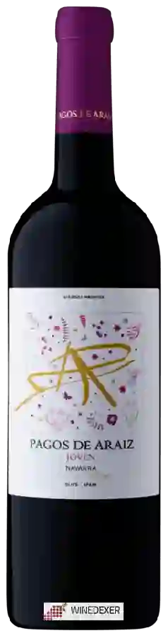 Weingut Pagos de Aráiz - Joven Weingut Pagos de Aráiz - Joven