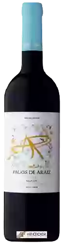 Weingut Pagos de Aráiz - Navarra Tinto Roble