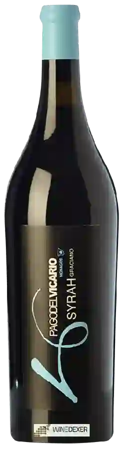 Weingut Pago del Vicario - Monagós Syrah - Graciano
