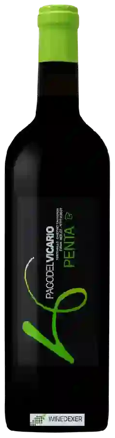 Weingut Pago del Vicario - Penta Weingut Pago del Vicario - Penta