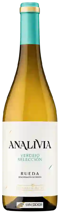 Weingut Pagos del Rey - Verdejo Selección Weingut Pagos del Rey - Verdejo Selección