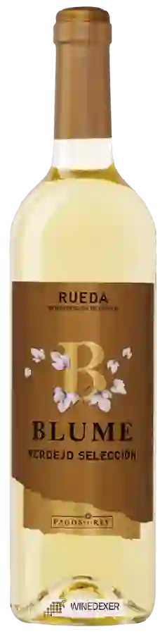 Weingut Pagos del Rey - Verdejo Selección Weingut Pagos del Rey - Verdejo Selección