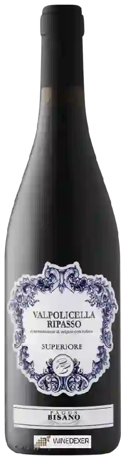 Weingut Pagus Bisano - Valpolicella Ripasso Superiore