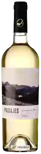Weingut Paisajes de Los Andes - Sauvignon Blanc