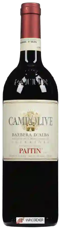 Weingut PAITIN - Barbera d'Alba Superiore Campolive Weingut PAITIN - Barbera d'Alba Superiore Campolive