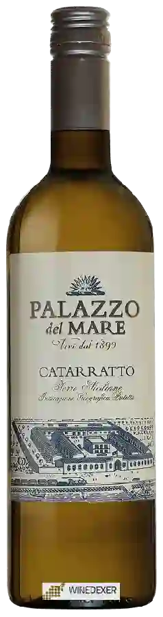 Weingut Palazzo del Mare - Catarratto Weingut Palazzo del Mare - Catarratto
