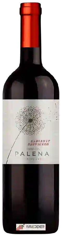 Weingut Palena - Cabernet Sauvignon Weingut Palena - Cabernet Sauvignon