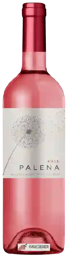 Weingut Palena - Rosé Weingut Palena - Rosé