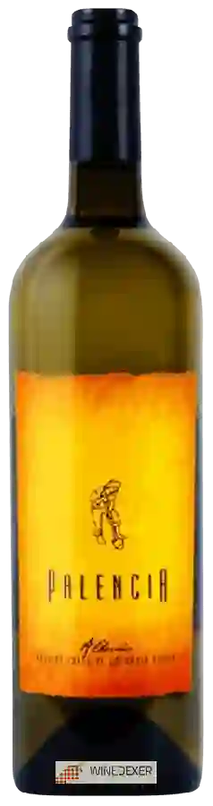 Weingut Palencia - Albariño Weingut Palencia - Albariño