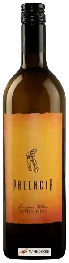 Weingut Palencia - Sauvignon Blanc Weingut Palencia - Sauvignon Blanc