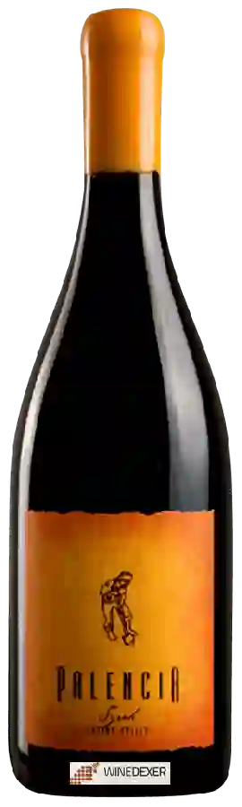 Weingut Palencia - Syrah Weingut Palencia - Syrah