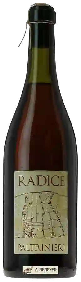 Weingut Paltrinieri - Radice Weingut Paltrinieri - Radice
