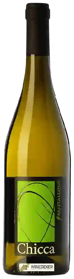 Weingut Pantaleone - Chicca Weingut Pantaleone - Chicca