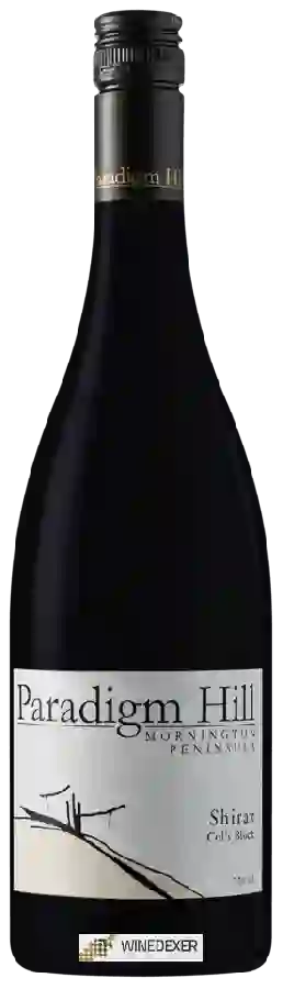 Weingut Paradigm Hill - Col's Block Shiraz