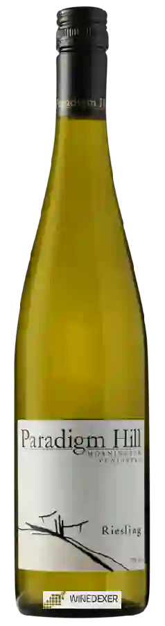 Weingut Paradigm Hill - Riesling Weingut Paradigm Hill - Riesling