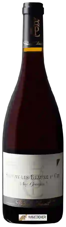 Weingut Pascal Clément - Savigny-lès-Beaune 1er Cru 'Aux Gravains' Weingut Pascal Clément - Savigny-lès-Beaune 1er Cru 'Aux Gravains'