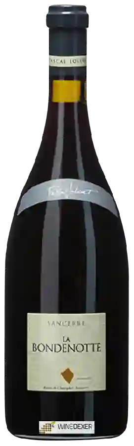 Weingut Pascal Jolivet - Sancerre La Bondenotte Rouge Weingut Pascal Jolivet - Sancerre La Bondenotte Rouge
