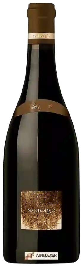 Weingut Pascal Jolivet - Sancerre Sauvage Rouge