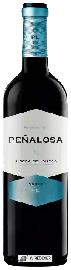 Bodegas Pascual - Heredad de Peñalosa Tinto Roble Bodegas Pascual - Heredad de Peñalosa Tinto Roble