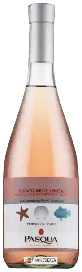 Weingut Pasqua - Colori d'Italia Rosato delle Venezie Frizzante