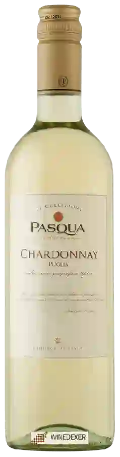 Weingut Pasqua - Le Collezioni Chardonnay Weingut Pasqua - Le Collezioni Chardonnay