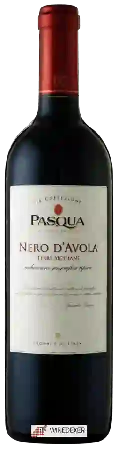 Weingut Pasqua - Le Collezioni Nero d'Avola Weingut Pasqua - Le Collezioni Nero d'Avola