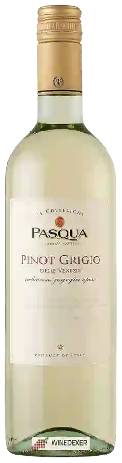 Weingut Pasqua - Le Collezioni Pinot Grigio Weingut Pasqua - Le Collezioni Pinot Grigio