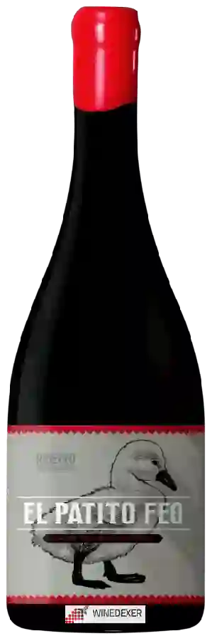 Weingut Pateiro Vinos de Guarda - El Patito Feo Caíño Sousón Barrica