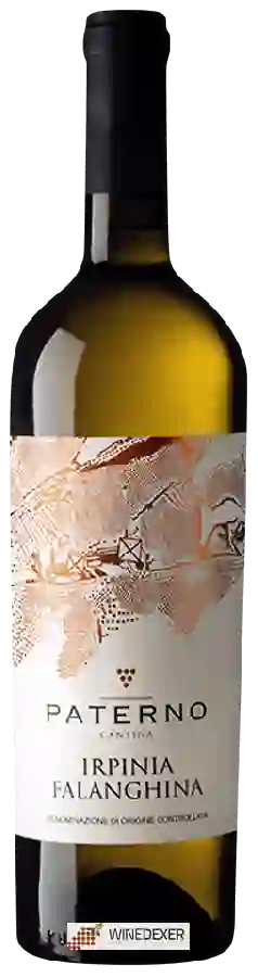 Weingut Paterno - Irpinia Falanghina Weingut Paterno - Irpinia Falanghina