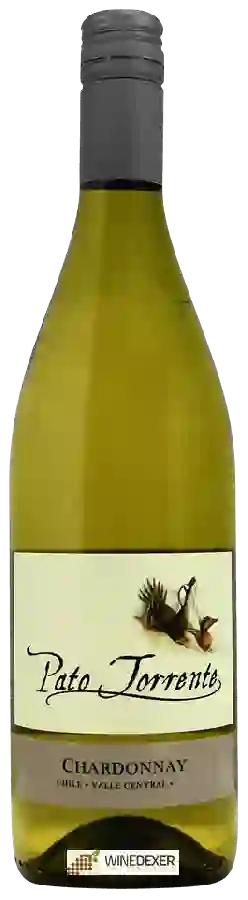 Weingut Pato Torrente - Chardonnay