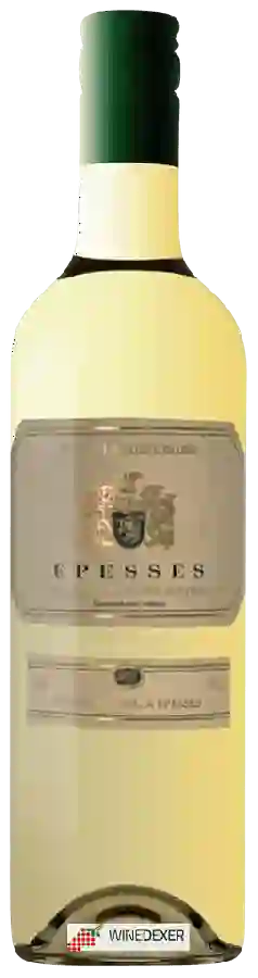 Weingut Patrick Fonjallaz - Epesses Weingut Patrick Fonjallaz - Epesses