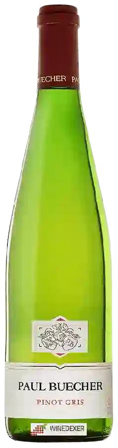 Weingut Paul Buecher - Pinot Gris