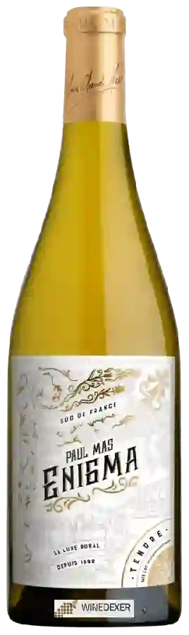 Weingut Paul Mas - Enigma Blanc Weingut Paul Mas - Enigma Blanc