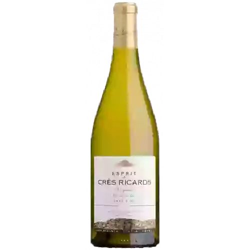 Weingut Paul Mas - Vignes de Crès Ricards Coteaux du Languedoc