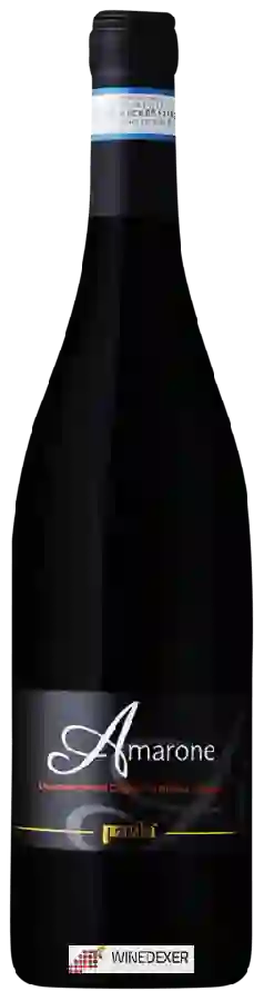 Weingut Pavin - Amarone