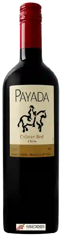Weingut Payada - Chilean Red
