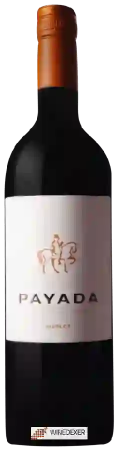 Weingut Payada - Merlot