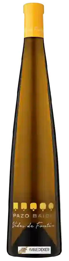 Weingut Pazo Baión - Vides de Fontán