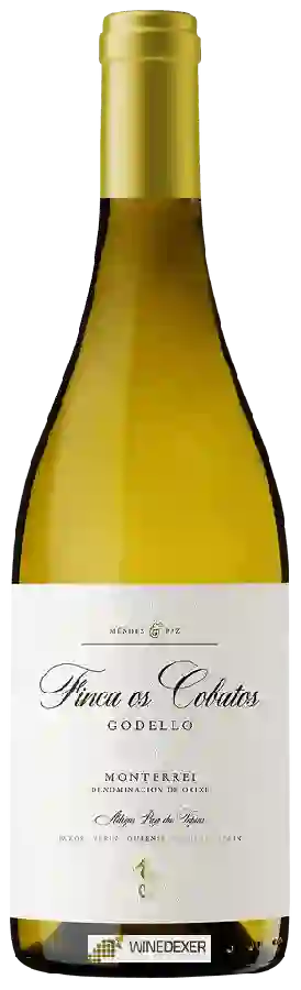 Weingut Pazo Das Tapias - Finca os Cobatos Godello Weingut Pazo Das Tapias - Finca os Cobatos Godello