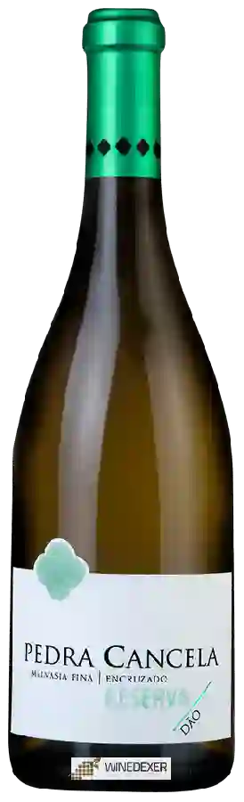 Weingut Pedra Cancela - Reserva Malvasia Fina - Encruzado